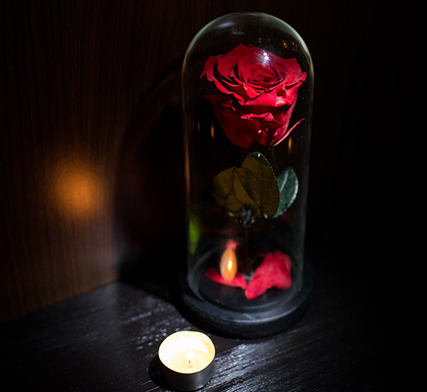 trandafir criogenat rosu in cupola