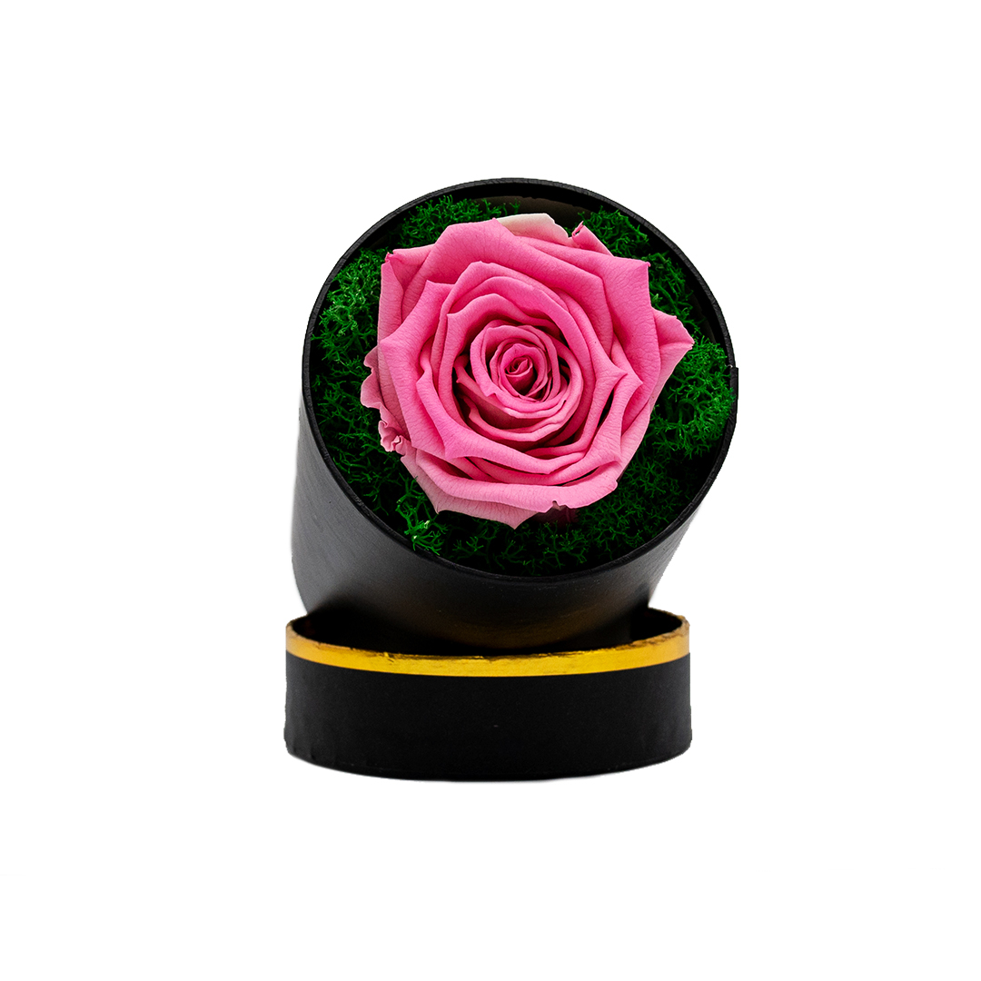 Trandafir Criogenat roz in cutie